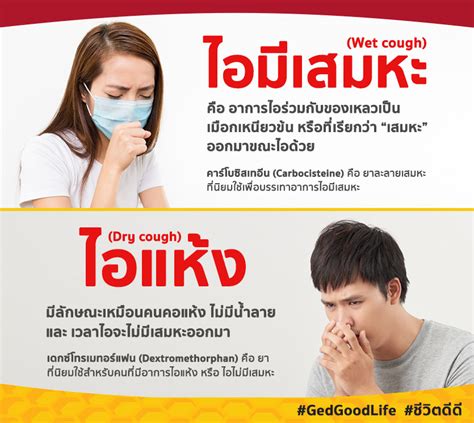 สาเหตุของอาการไอ และวิธีแก้ไออย่างเห็นผล Ged Good Life ชีวิตดีดี