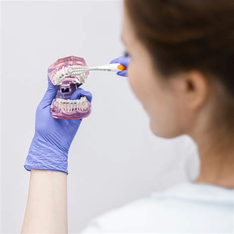 Dentist Presenting Dental HygieneFree Stock Photo