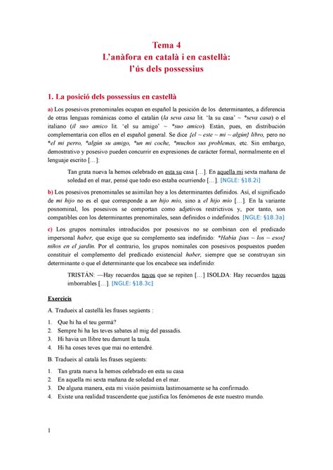 Tema 4 Lus dels possessius per Penjar Tema 4 Lanàfora en català i