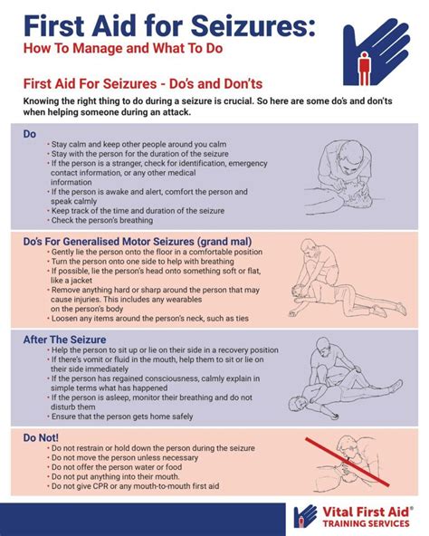 Understanding Epilepsy Chart Poster Laminated Seizures Porn Sex Picture