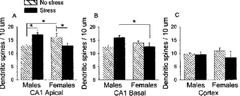 Figure From Sex Differences And Opposite Effects Of Stress On Dendritic Spine Density In The
