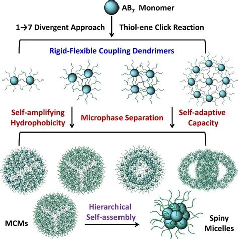 Ccs Chemistry Poss树枝状聚合物自组装：刚柔相济、始可有成澎湃号·政务澎湃新闻 The Paper