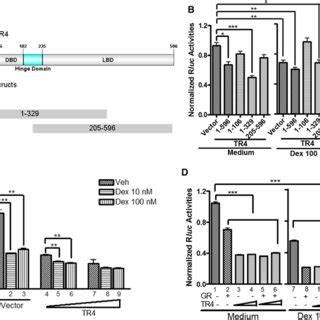 The Inhibitory Effect Of Mek On Murine Corticotroph Tumors In Vivo