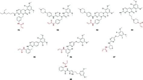 Chemical Structures Of Fgfr Targeting Inhibitors 41 48 With Acrylamide Download Scientific