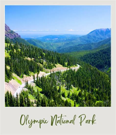 Tips For Visiting Olympic National Park