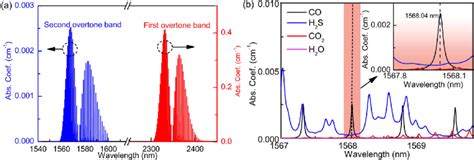 Co Absorption Spectrum A The First And Second Overtone Absorption