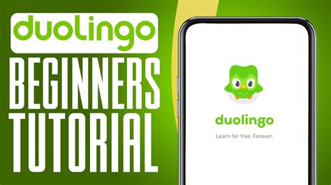 Duolingo App Walkthrough 2025 How To Use Duolingo For Beginners