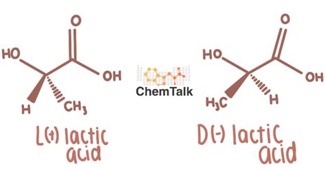 Lactic Acid Fermentation Chemtalk