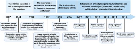 The history of organoid research. Timeline of milestones for the ...