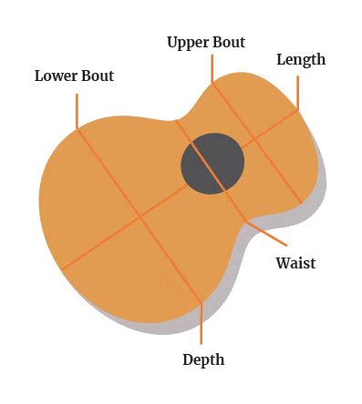 Acoustic Guitar Body Styles And Dimensions [The 9 Most Common]