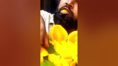 Asmr Fresh Juicy Mango Messy Eating Sounds No Talking Sas Asmr Youtube