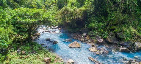 Rio Celeste Waterfall Tenorio Volcano National Park Guide