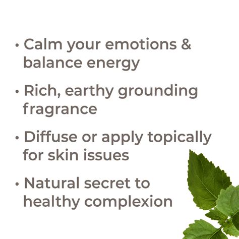 Organic Patchouli Essential Oil Plant Therapy