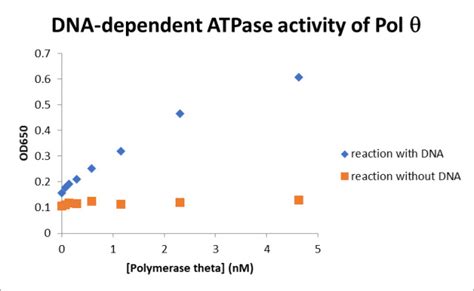 Human Dna Polymerase Theta Assay