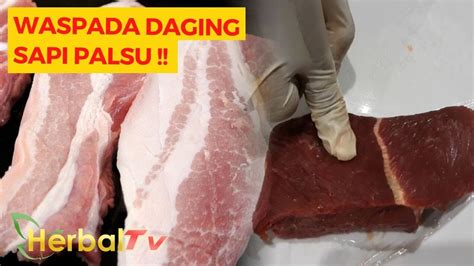 Jangan Salah Ini Cara Membedakan Daging Sapi Dan Daging Babi YouTube