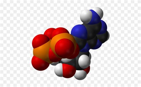 Atp Molecule Animation