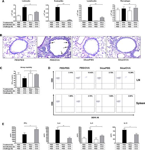 DNA Methylation Of TH1 TH2 Cytokine Genes Affects Sensitization And