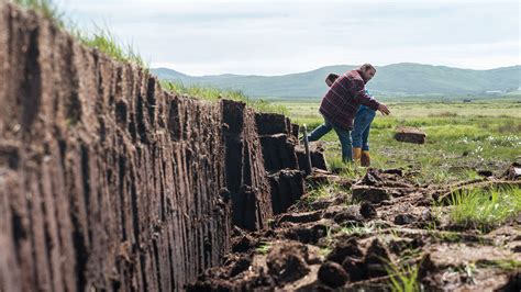 Peat Moss Harvest