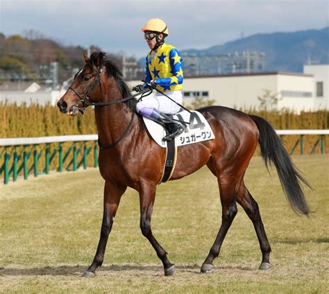 【pog】シュガークン距離延長で期待大！半兄はキタサンブラック（栗東発） ライブドアニュース