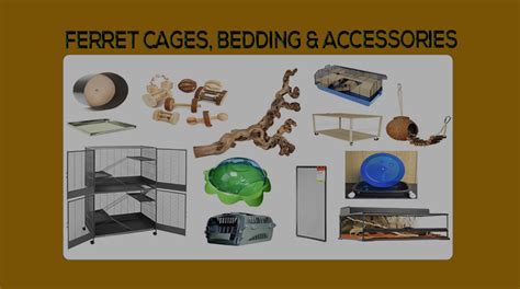 Recommended Ferret Cages Bedding & Accessories - Small Furry Pets