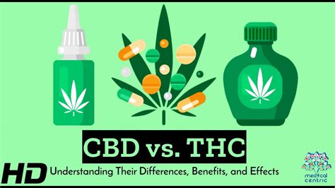 Cbd Vs Thc Unveiling The Truth Behind Cannabiss Most Famous