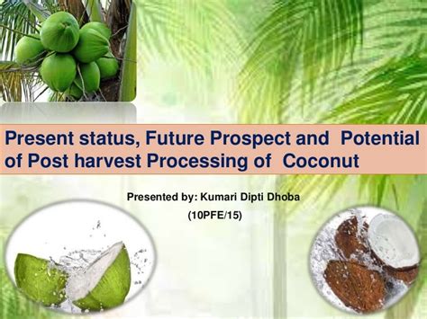 Coconut Processing