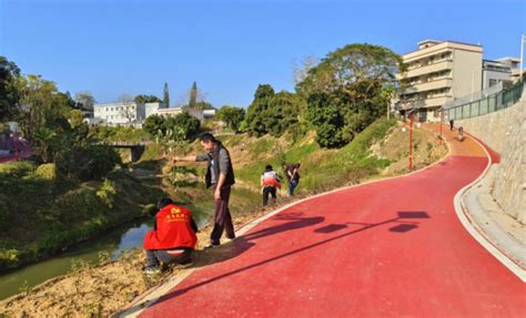 惠东安墩：党建引领河道添绿 志愿服务“景”上添花 关注森林