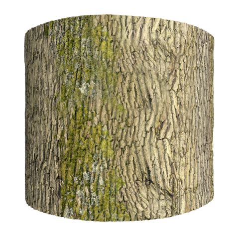 Free Wood Oak Tree Bark Texture Seamless Background PBR - 3Designer