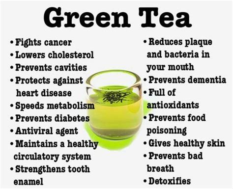 Why Should We Drink Green Tea The Health And Weight Loss Benefits