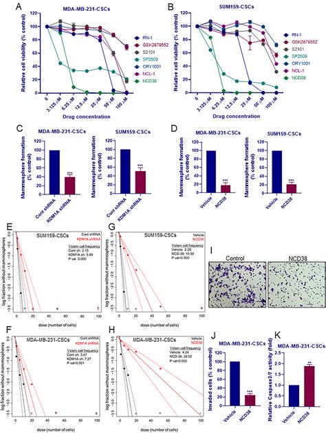 Kdm A Inhibition Reduced The Cell Viability Mammosphere Formation