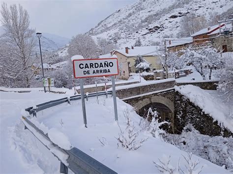 Galería fotográfica de la primera nevada del 2024 en la Montaña Palentina