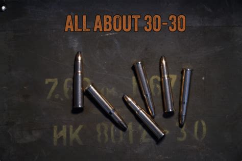 All About Winchester True Shot Ammo