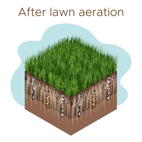 Lawn Care Aeration And Scarification Labels By Stage After Intake