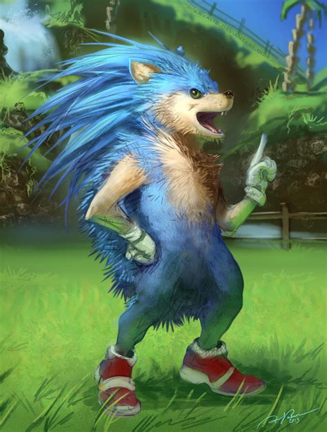 Sonic the Realhog by arvalis on DeviantArt