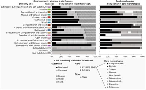 Coral Community Typology Level 2 Based On Field Survey Of 2007 The