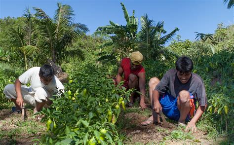 Small Agriculture Business In The Philippines