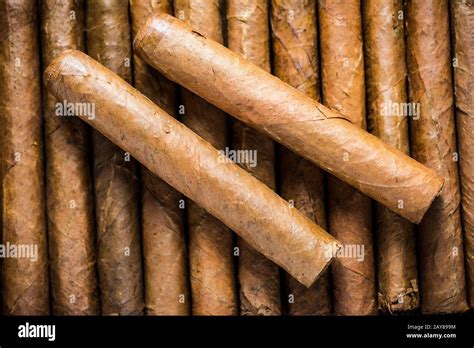 Close View On Cuban Hand Rolled Cigars Stock Photo Alamy