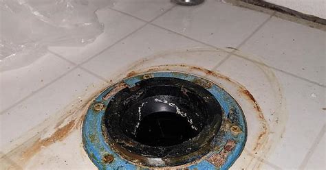 What Is The Black Part Sitting Inside The Toilet Flange Album On Imgur