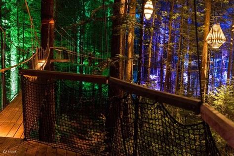 Redwoods Nightlights Experience in Auckland - Klook United States