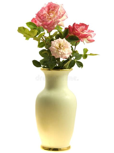 Vase Of Roses Spring Flowers Stock Image Image Of Flower Love