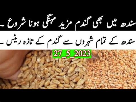 Wheat Price Today In Sindh Pakistan Gandum Ka Rate Today Galla Mandi