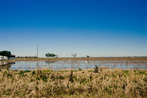 Img2495 Duck Capital Of America Gueydan Louisiana Verm Flickr