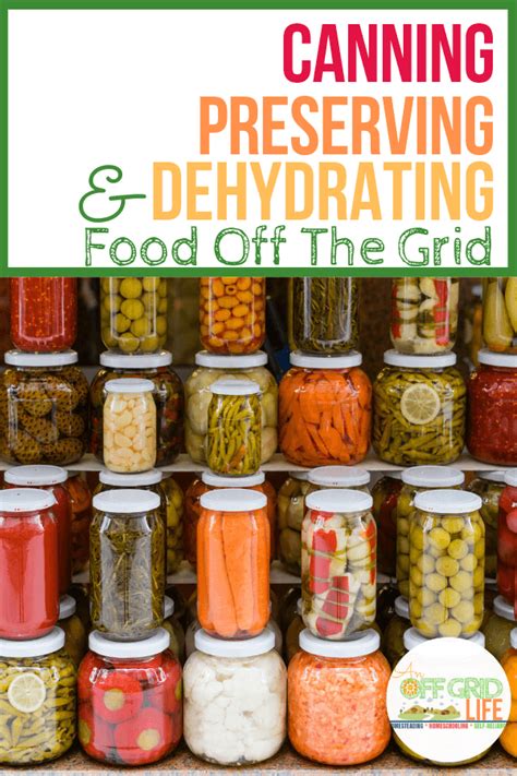 Canning Preserving And Dehydrating Food Off The Grid Artofit