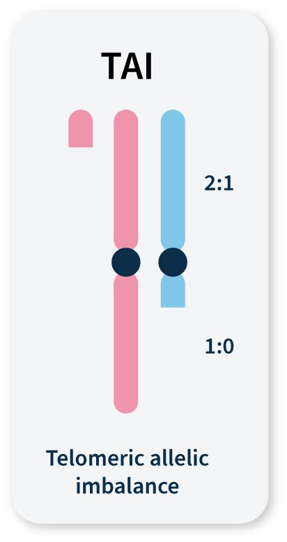 Optimizing Genomic Instability Assessment In Cancer Sophia Genetics