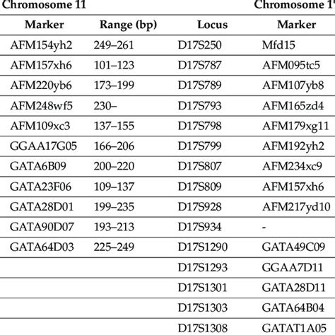 Dna Microsatellite Markers Investigated On Chromosomes 11 And 17