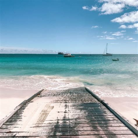 Hamelin Bay Stingrays - The Born Wanderess