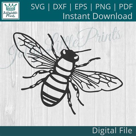 Abeille Svg Honey Bee Svg Clipart Dabeille Fichier De Etsy France