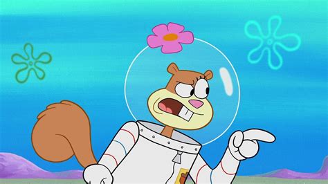 Download Sandra Jennifer Olivia Sandy Cheeks Wallpaper