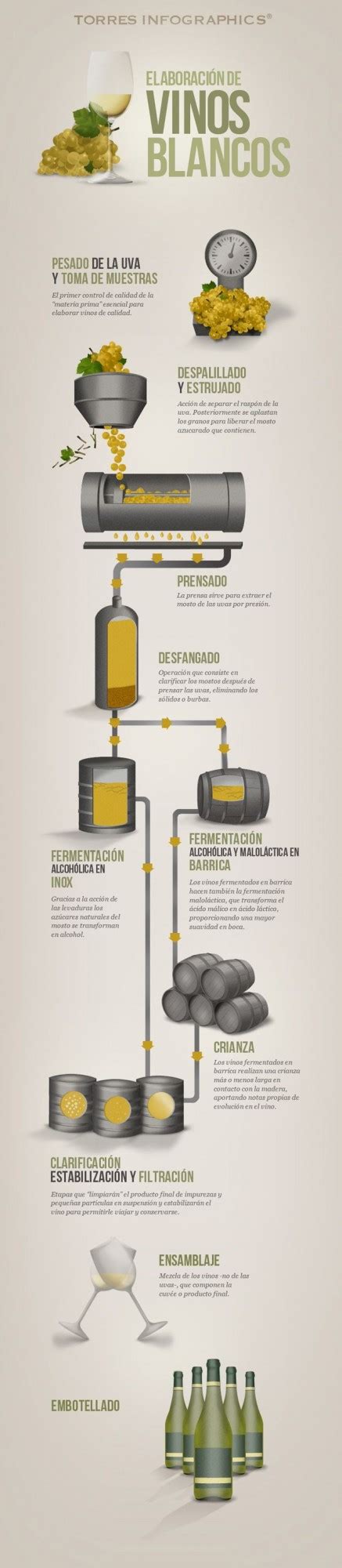 Infograf As Sobre La Elaboraci N Del Vino Aprende De Vinos