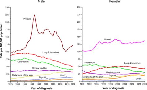 Medvasc Cancer Statistics